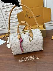 Louis Vuitton Speedy Soft 30 Lucky Other Monogram Canvas - 30x21x17CM - 2