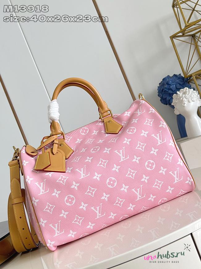 	 Louis Vuitton speedy P9 leather bandouliere 40 - 1