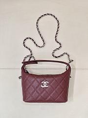 Chanel C25 Classic Purse Handbag - 21x19x6cm - 2