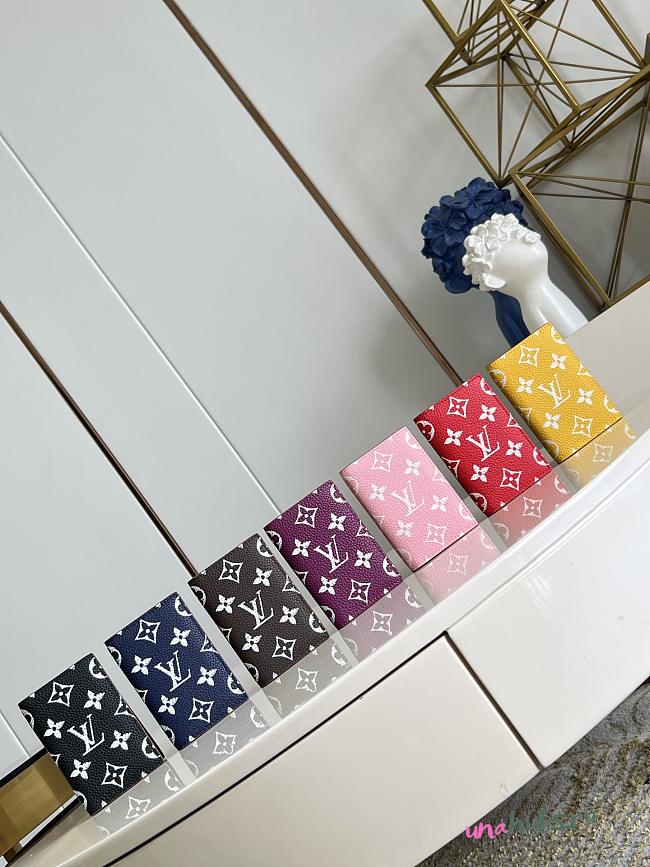 Louis Vuitton Autres Cuirs Monogram  - 1