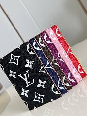 Louis Vuitton Autres Cuirs Monogram  - 3