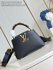 Louis Vuitton Capucines Mini Black - 21 x 13.6 x 8 cm - 1