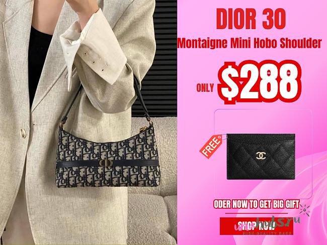Dior 30 Montaigne Mini Hobo Shoulder Bag  - 1