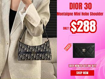 Dior 30 Montaigne Mini Hobo Shoulder Bag 