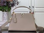 Louis Vuitton Capucines MM Souple Grey Beige 33x24x12cm - 1