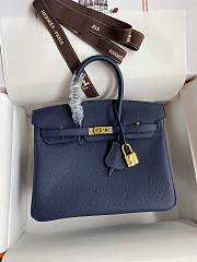 Hermes Birkin 25 Navy Blue Togo Gold 25cm - 1