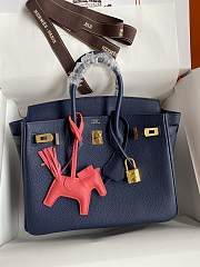 Hermes Birkin 25 Navy Blue Togo Gold 25cm - 3
