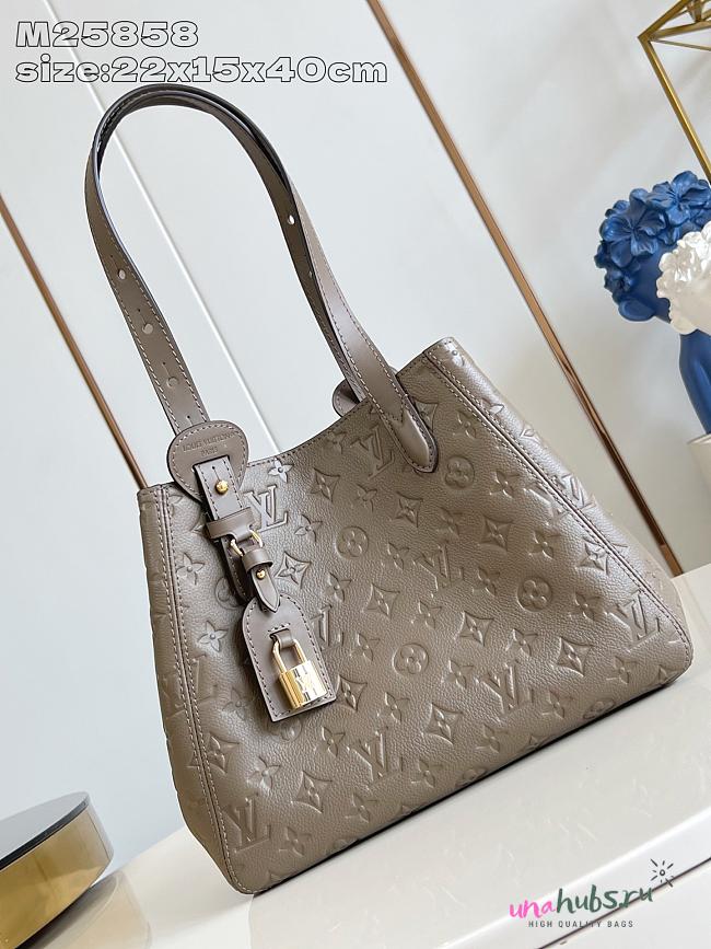 Louis Vuitton LV All In One PM Bag Grey 40x22x15cm - 1