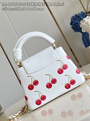 Louis Vuitton LV Mini Capucines White Cherry 21cm - 4
