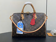 Louis Vuitton LV Speedy Soft 30 Crafty Bag 30x21x17cm - 1