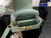Louis Vuitton LV Mini Capucines Green 21x13.6x8cm - 5