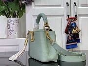 Louis Vuitton LV Mini Capucines Green 21x13.6x8cm - 3