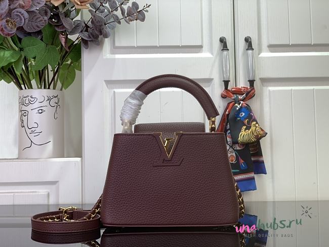 Louis Vuitton LV Mini Capucines Burgundy 21x13.6x8cm - 1