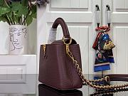 Louis Vuitton LV Mini Capucines Burgundy 21x13.6x8cm - 2
