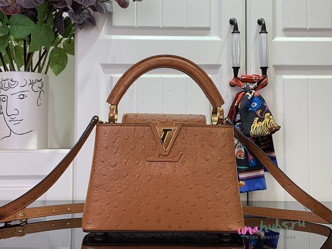 Louis Vuitton Capucines Brown Ostrich leather mini bag - 1