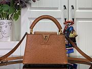 Louis Vuitton Capucines Brown Ostrich leather mini bag - 1