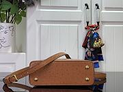 Louis Vuitton Capucines Brown Ostrich leather mini bag - 5