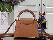 Louis Vuitton Capucines Brown Ostrich leather mini bag - 3