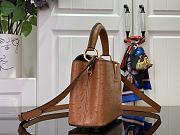 Louis Vuitton Capucines Brown Ostrich leather mini bag - 2