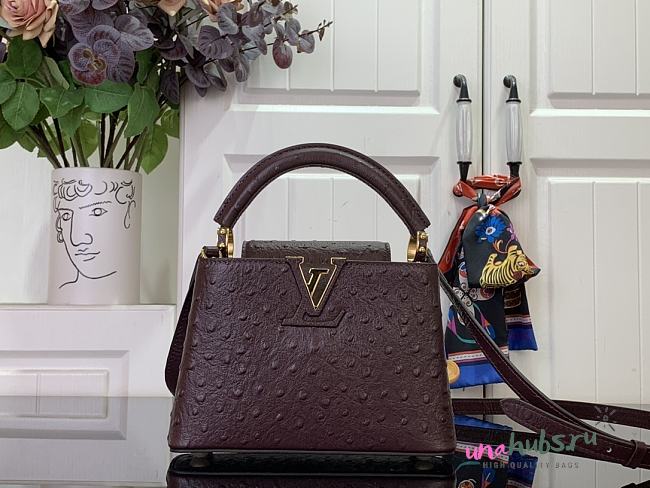 Louis Vuitton LV Mini Capucines Burgundy 21cm - 1