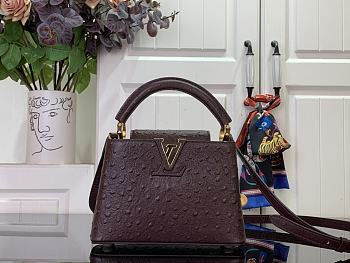 Louis Vuitton LV Mini Capucines Burgundy 21cm