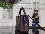 Louis Vuitton LV Mini Capucines Burgundy 21cm - 3