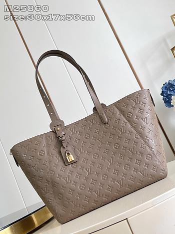 Louis Vuitton LV All In One MM Grey 56x30x17cm