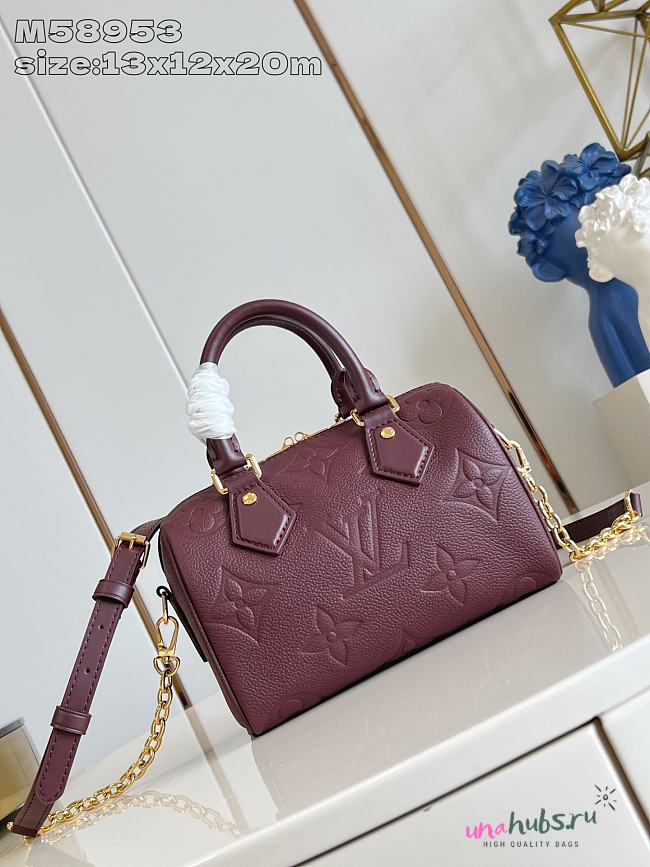 Louis Vuitton LV Speedy 20 Red Wine 20x12x13cm - 1