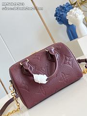 Louis Vuitton LV Speedy 20 Red Wine 20x12x13cm - 4