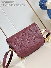 Louis Vuitton LV Mini Bumbag Red Wine 17x12x9cm - 2