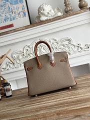 Hermes Birkin 25 Bag Grey Brown Gold Togo 25cm - 4