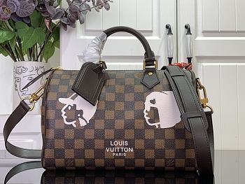 Louis Vuitton Speedy 25 Bag Damier Brown 25x15x15cm