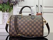 Louis Vuitton Speedy 25 Bag Damier Brown 25x15x15cm - 2