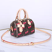 Louis Vuitton  LV x TM Speedy Cherry 20 20.5x13.5x12cm - 2