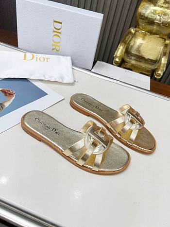 Dior D-Club Slide Gold