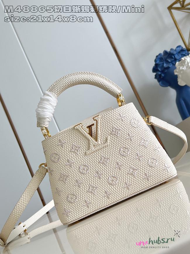 Louis Vuitton LV Capucines White 21x14x8cm - 1