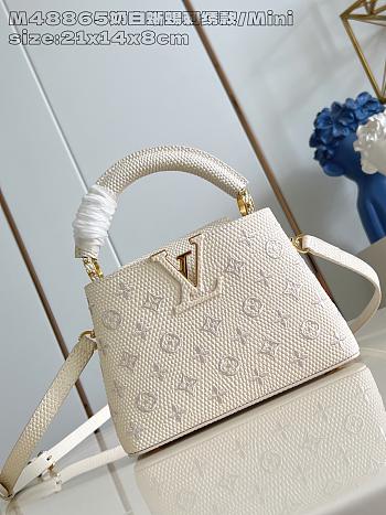Louis Vuitton LV Capucines White 21x14x8cm