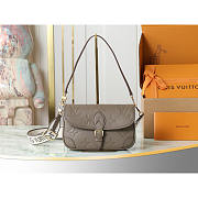 Louis Vuitton Diane Handbag In Smoke 24x15x9cm - 1