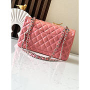 Chanel Medium Flap Bag Silver Hardware Pink 25cm - 2