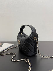  Chanel 25 Hobo Clutch With Chain Bag 21x19x6cm - 3