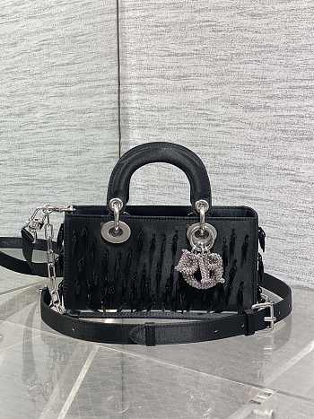 Dior Lady D-joy Bag Black 22cm