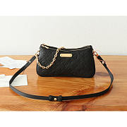 Louis Vuitton Pochette Liv Black 24.5x13.5x6.5cm - 1