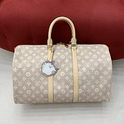 Louis Vuitton Keepall Bandoulière 45 Meowgram 45x27x20cm - 1