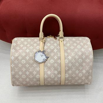 Louis Vuitton Keepall Bandoulière 45 Meowgram 45x27x20cm