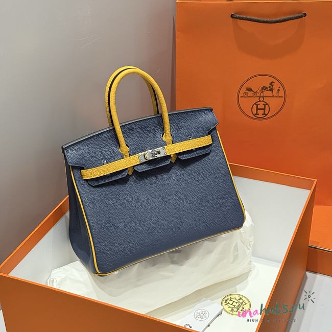 Hermes Birkin 25 Blue Yellow Togo Silver 25cm - 1