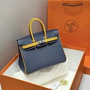 Hermes Birkin 25 Blue Yellow Togo Silver 25cm - 1