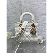 Dior Small Lady Dior My ABCDior Bag White 20cm - 1