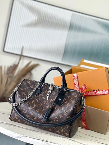 louis Vuitton Speedy Soft 30 Dark