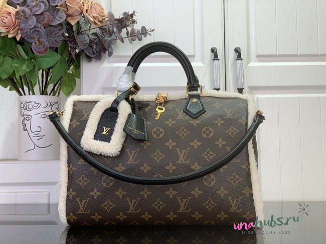 Louis Vuitton Speedy Soft 30 Teddy 30x21x17cm - 1