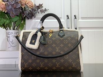 Louis Vuitton Speedy Soft 30 Teddy 30x21x17cm